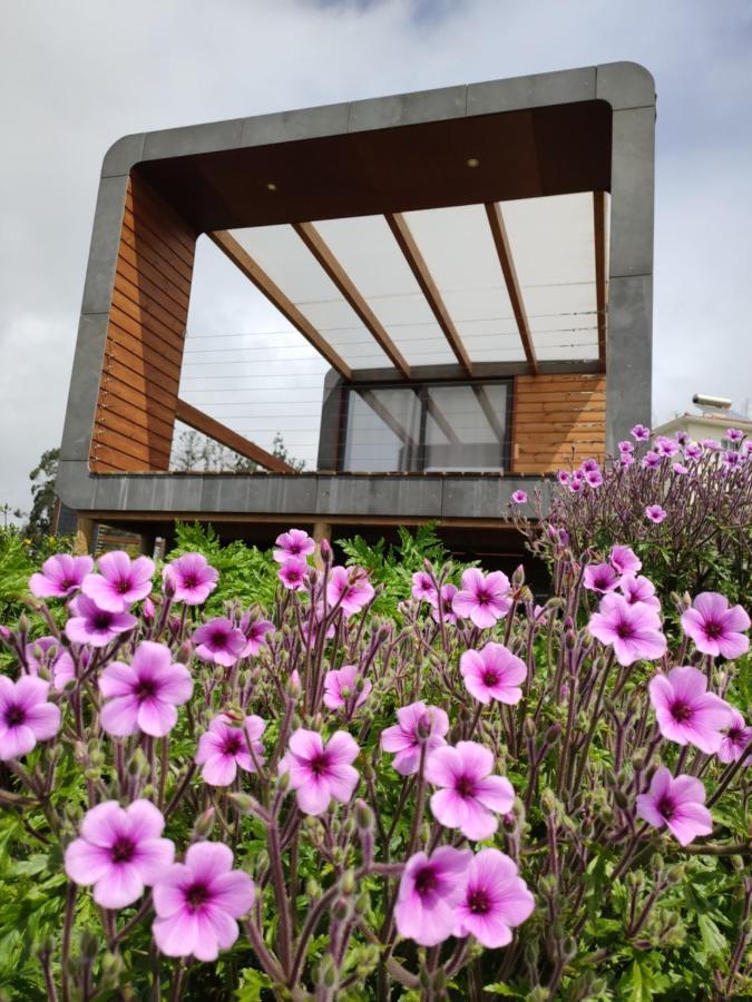 Calheta Glamping Pods - Nature Retreat Экстерьер фото